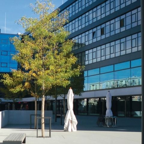 Büro-/Geschäftshaus Ambigon