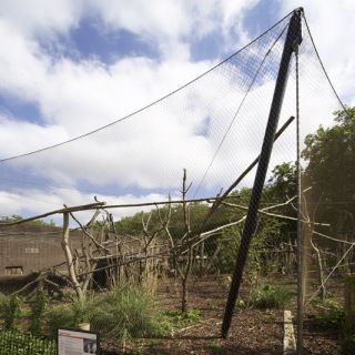 London Zoo