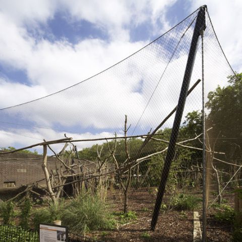 London Zoo