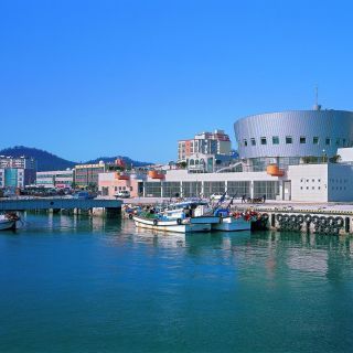 Wando Fischvertriebscenter