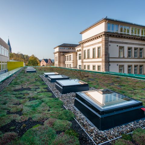 Markgraf-Georg-Friedrich-Gymnasium, Kulmbach