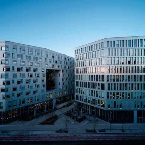 Diagonale Oslo
