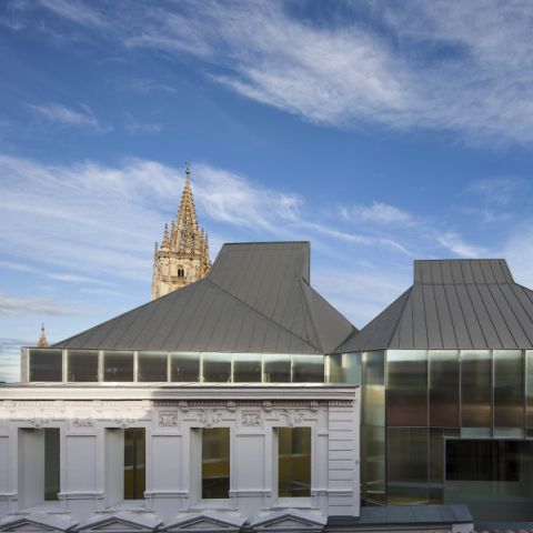 Museum der Schönen Künste von Asturien