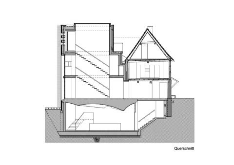 Querschnitt
