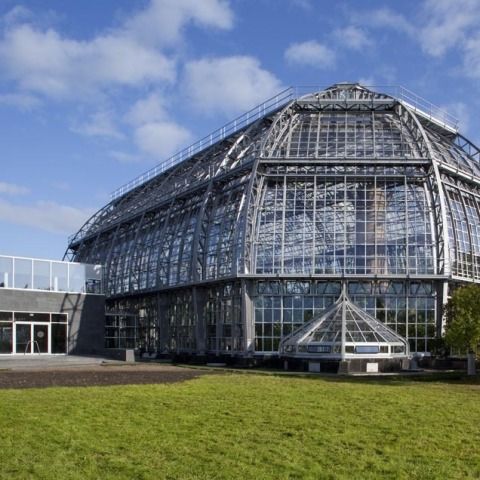 Großes Tropenhaus