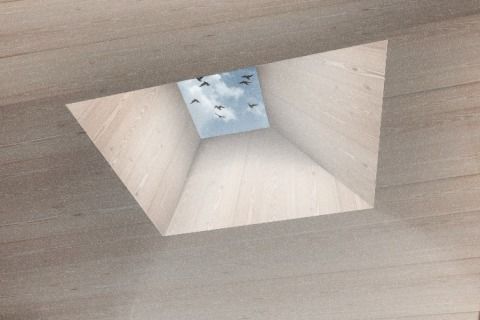 Skylight