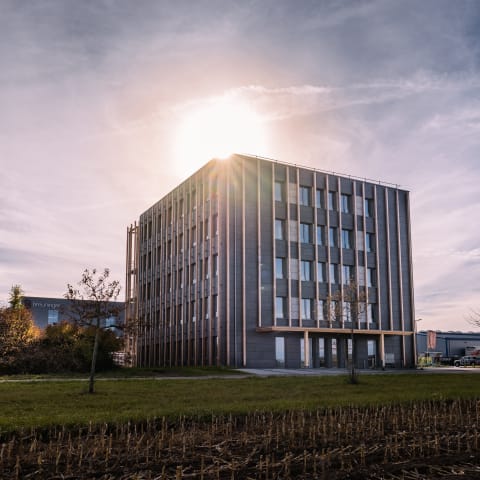 Meisterhafte Holzbauweise