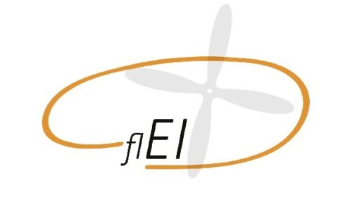 flEi Logo