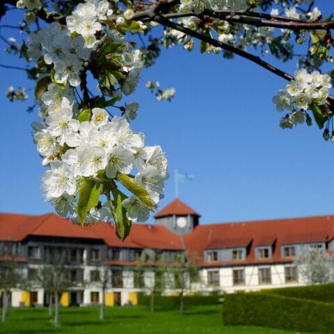 Robinson Club Fleesensee