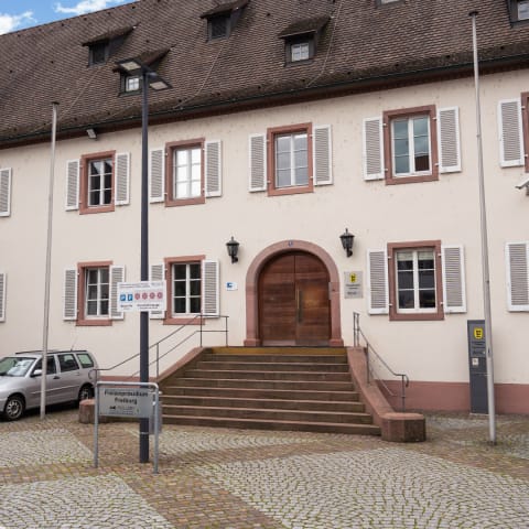 Sanierung der Schmutzfangzone am denkmalgeschützten Burghof Lörrach