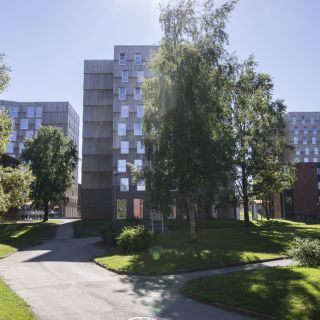 MOHOLT 50 | 50 Studentenwohnheim