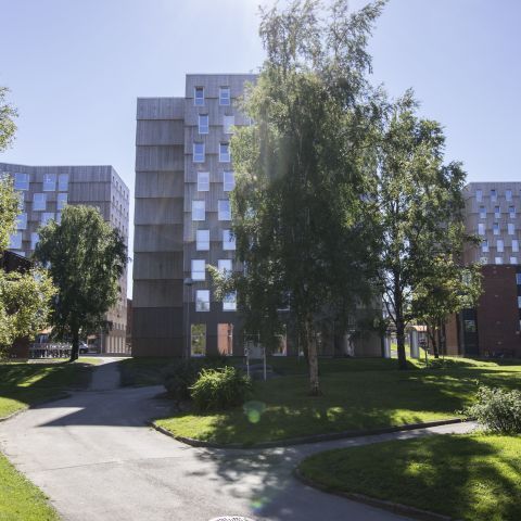 MOHOLT 50 | 50 Studentenwohnheim