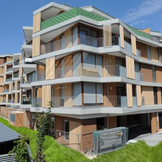 „V8-Die Stadtoase“ Freiburg