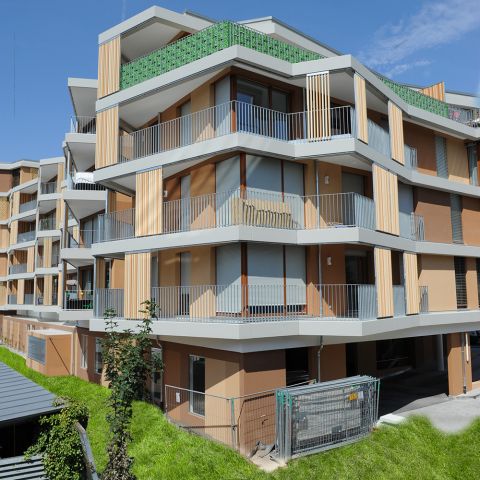 „V8-Die Stadtoase“ Freiburg