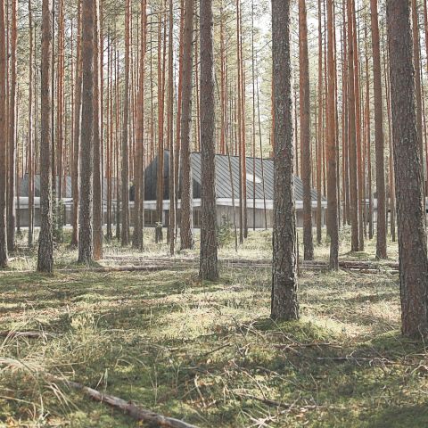 Eine Schule im Wald