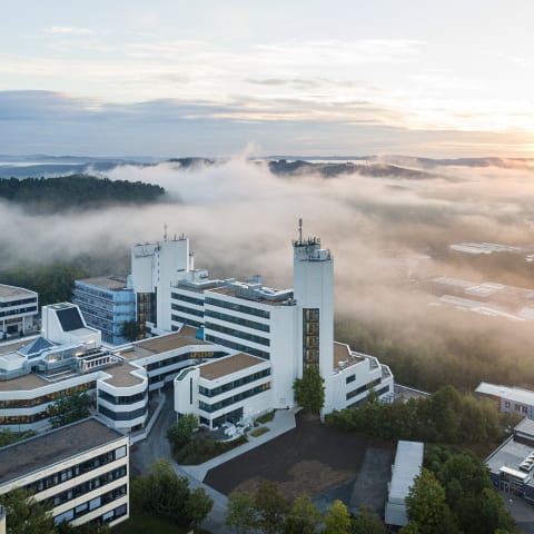 Universität Siegen