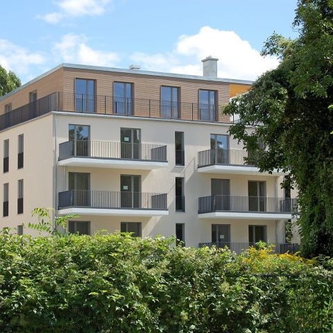 Holzpalais Dresden