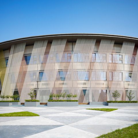 Soyoo Joyful Growth Center
