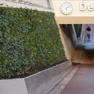 Grüner Tunnel am Delfter Campusbahnhof