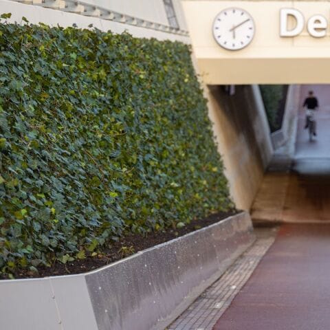 Grüner Tunnel am Delfter Campusbahnhof