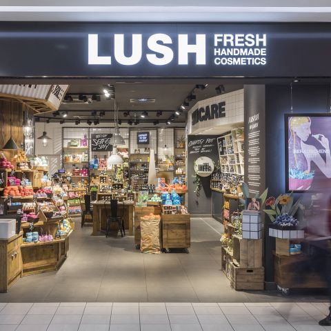 Lush Fresh Handmade Cosmetics