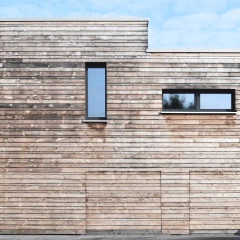 mondholz8 - schadstofffreies (er)Leben mit Holz und Ton