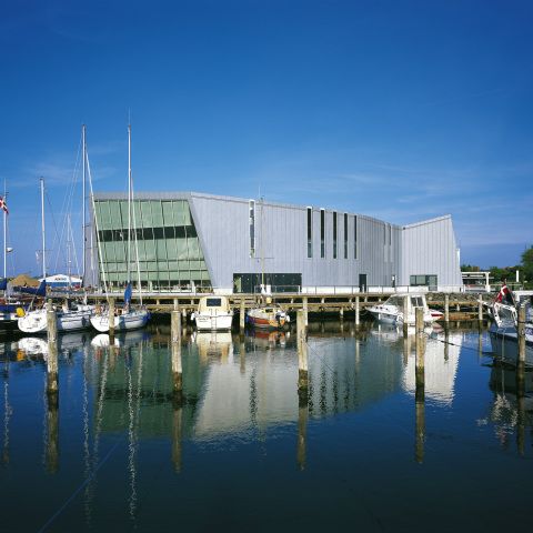 Culture Island