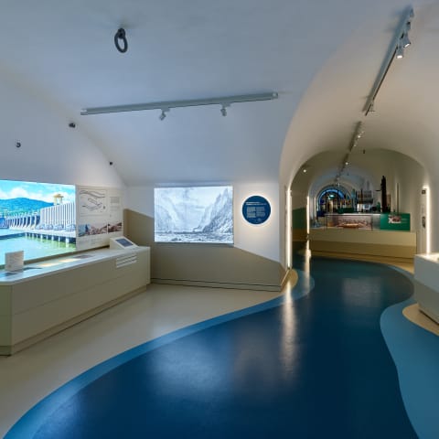 Donauschwäbisches Zentralmuseum (DZM)