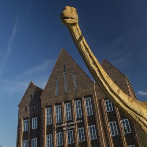 Naturhistorisches Museum Braunschweig