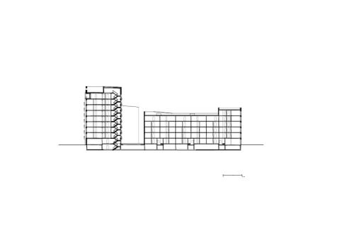 Schnitt, Wohnen auf der Holzhalbinsel, Rostsock, TCHOBAN VOSS Architekten