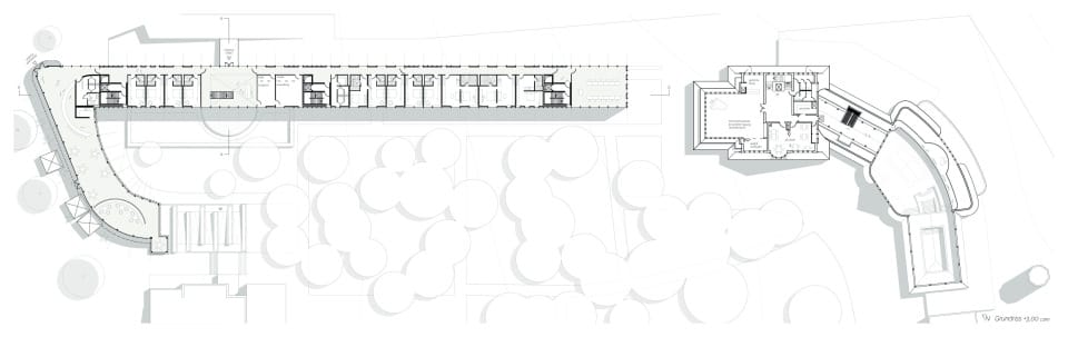 Grundriss +3,00