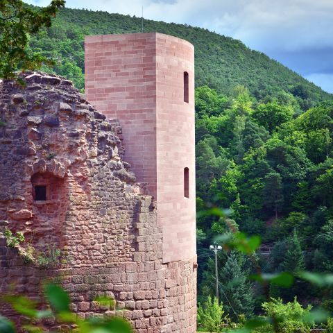 Schloss- und Festungsruine Hardenburg