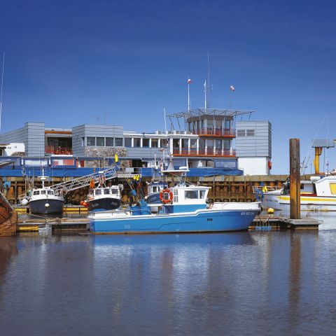 Harbour Administration