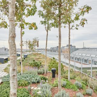 Neubau eines Mehrfamilienhauskomplexes im Frankfurter Gallusviertel