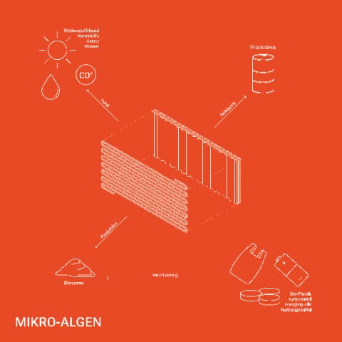 Mikro-Algen