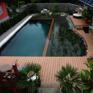 Privater Schwimmteich