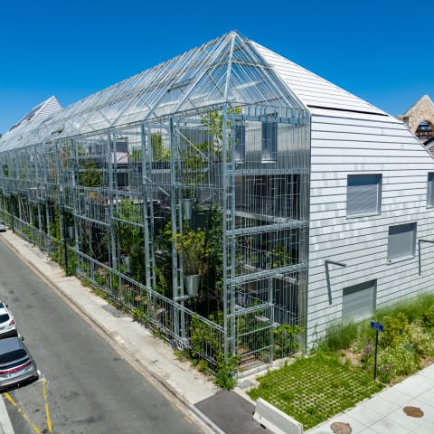 Cool Roof trifft auf Design Fassade
