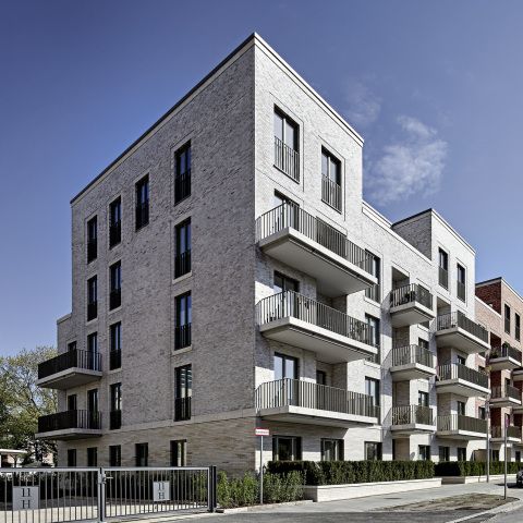Eleven Houses