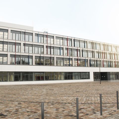 Gymnasium Tolkewitz