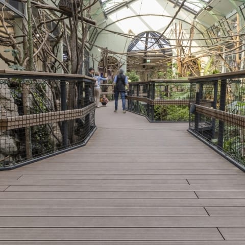 Besuchersteg im Kölner Zoo