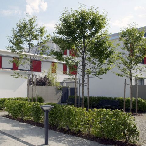 33 Atriumhäuser - Stadt in der Stadt