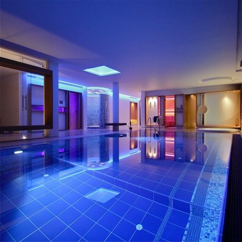 Wellness