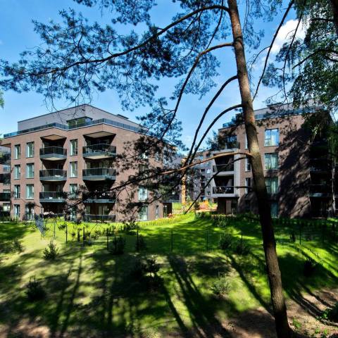 „Pušų Terasos“ - die Kiefernterrassen in Vilnius