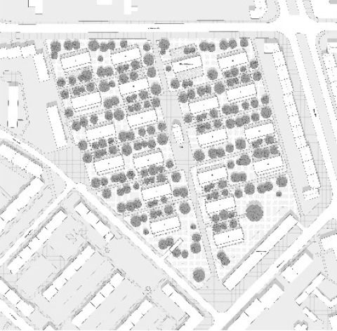 Lageplan Dachaufsicht