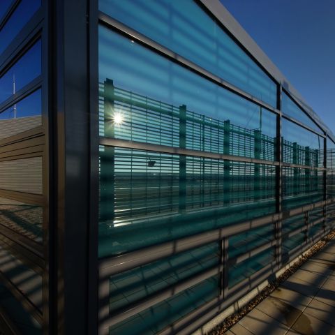 Leibniz-Institut für Neurobiologie (IfN)