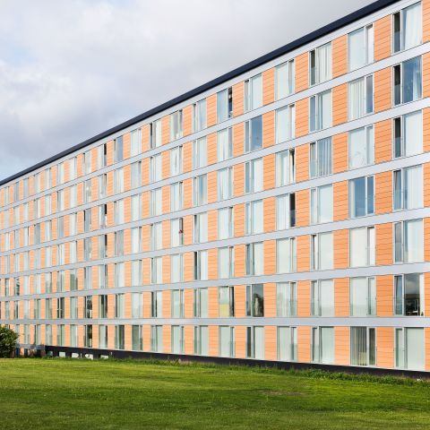 Hvidovre Rebæk Søpark