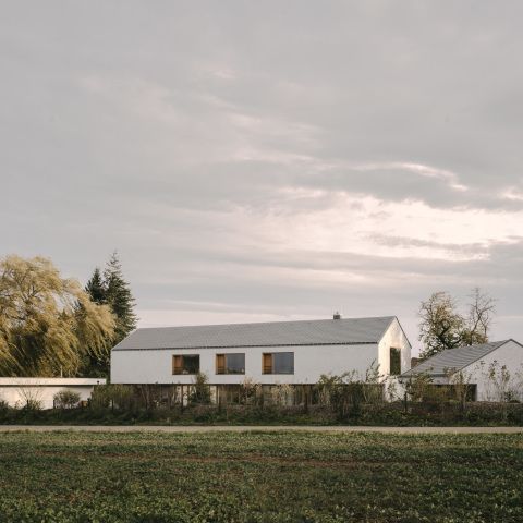 Am Feldrand
