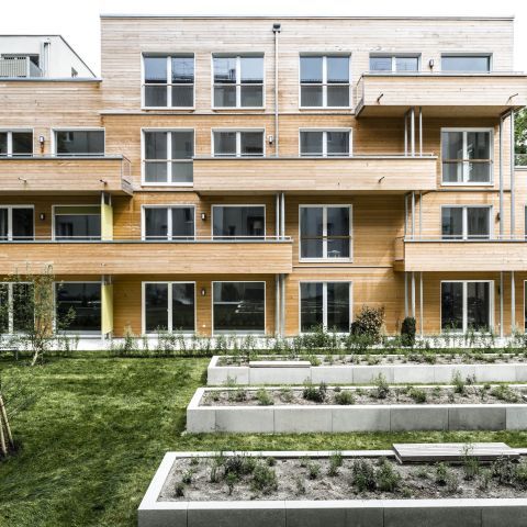 Natürlich leben - Ein Holzbau im Herzen der Metropole
