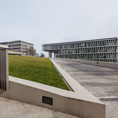 Zentrum der Molekularbiologie für Pflanzen Tübingen