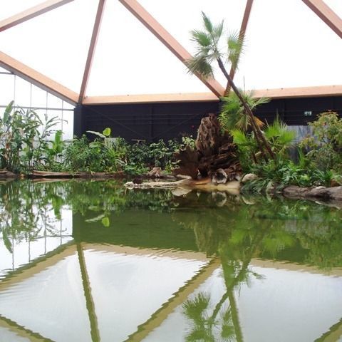 Tierpark Blijdorp - Schmetterlingshaus Amazonica